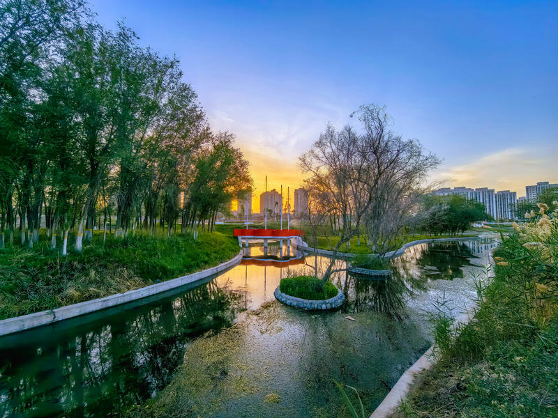 琐碎的日常记忆（持更：p24/27/33/44/59/64/71/73/75/85/99/102/119/128/135）