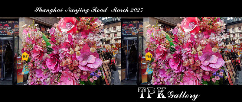 【立体摄影】250404   上海 南京路（2）