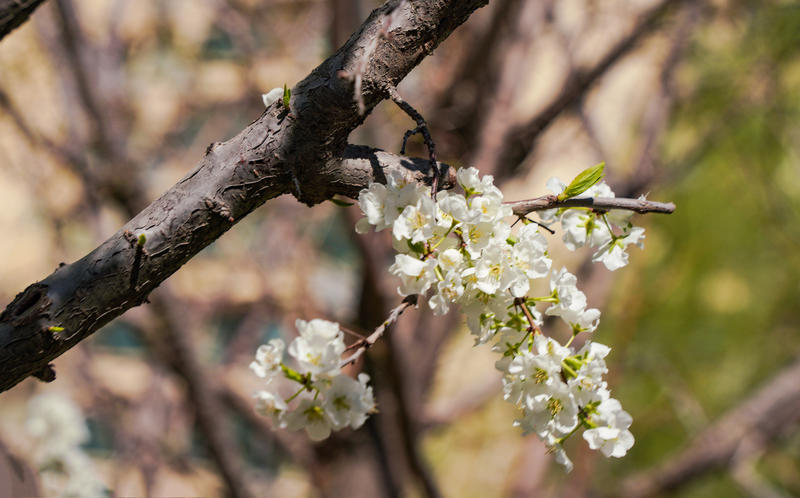 五一劳动节快乐 旅游随手拍古门