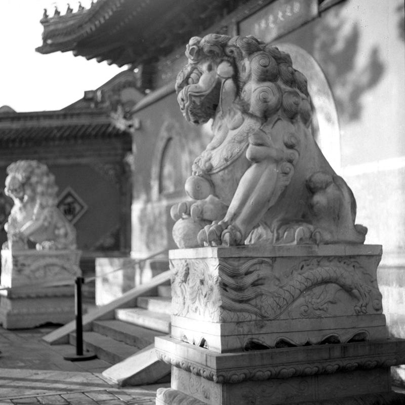 2024年11月30日：闲逛北京大觉寺