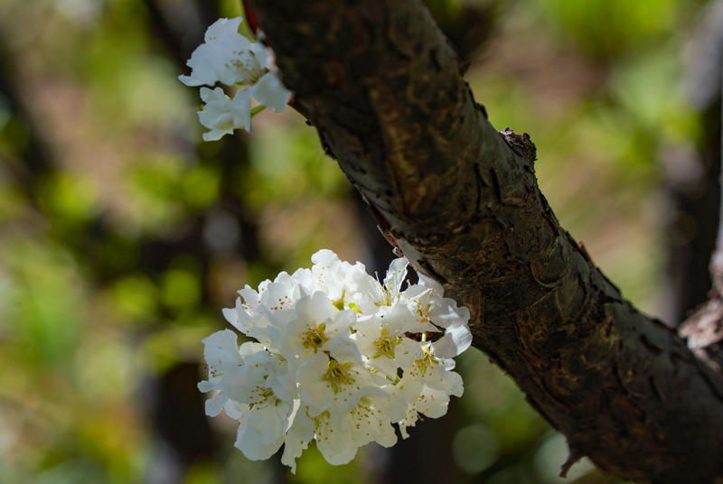 五一劳动节快乐 旅游随手拍