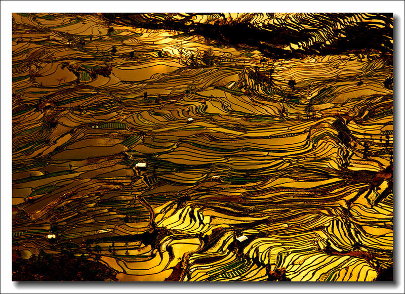 云南元阳梯田风光（11）