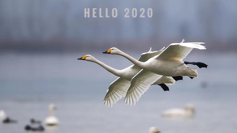 有几月没来了。