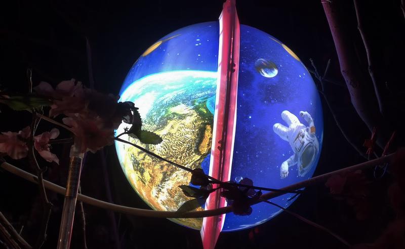 春节前后随时拍