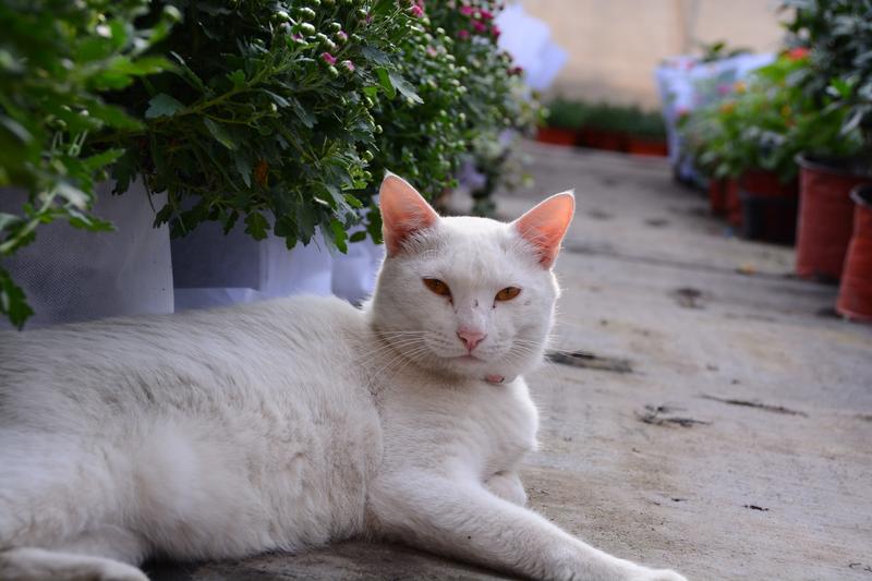 啊啊啊！爷最帅的镜头来了！