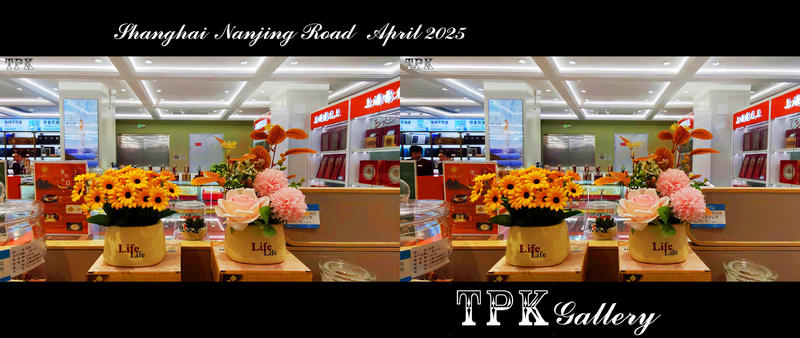 【立体摄影】250406    逛街记趣