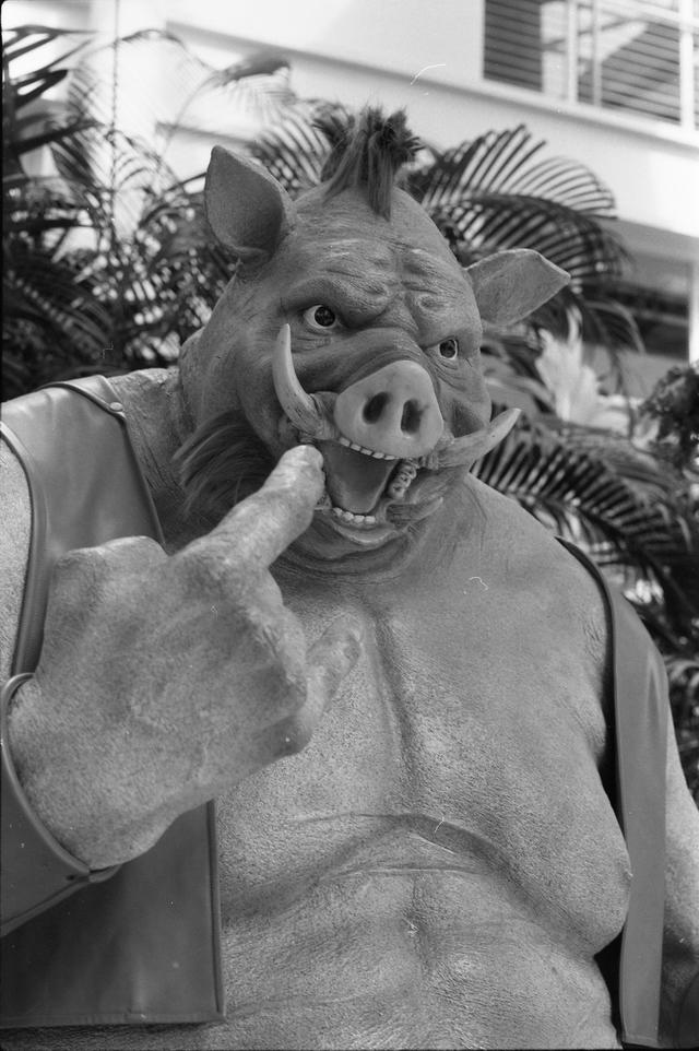 三十多年了，活动活动它。