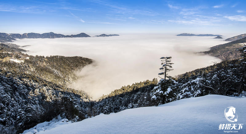 <<蜂摄天下>>~~世界那么大，迷上神农架
