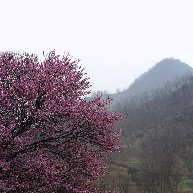 哈苏中画幅一亿像素才能满足大场景