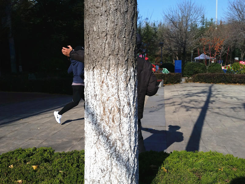 fgn：体育公园晨练