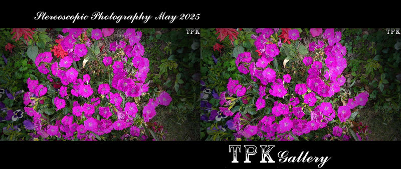 【立体摄影】旮旯里的3d 250508