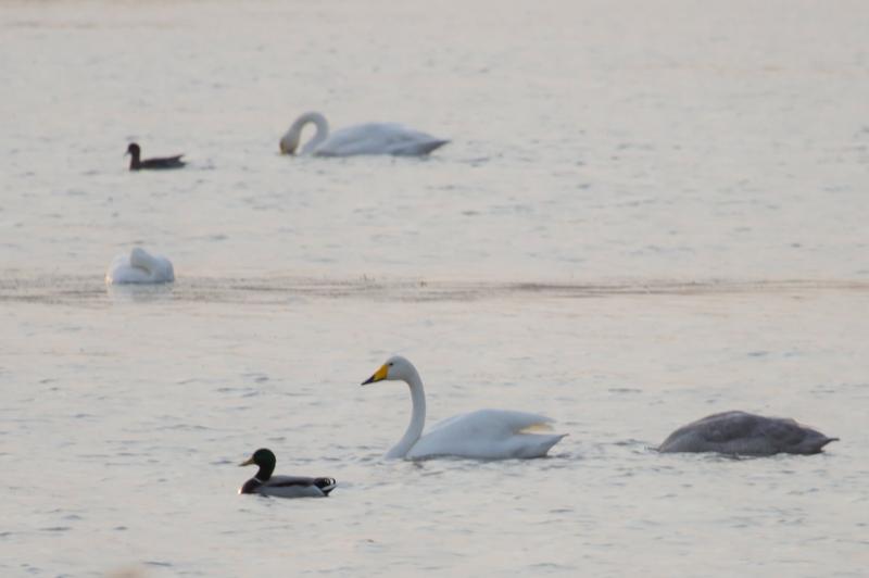 科尔沁草原～大天使的秋天