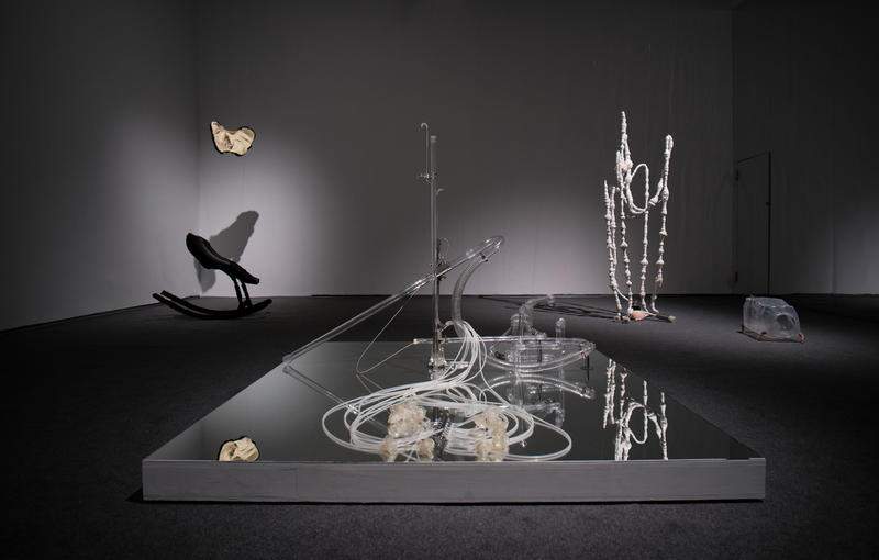 一日两展：「新物种viii·羽化现场」、「菊之韵」