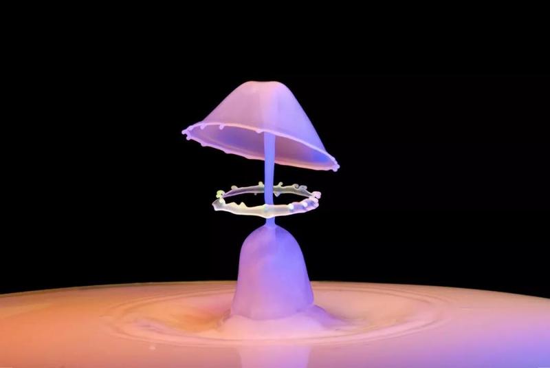 独家教程 | 绝美的水滴造型怎么拍？看这一篇就够了