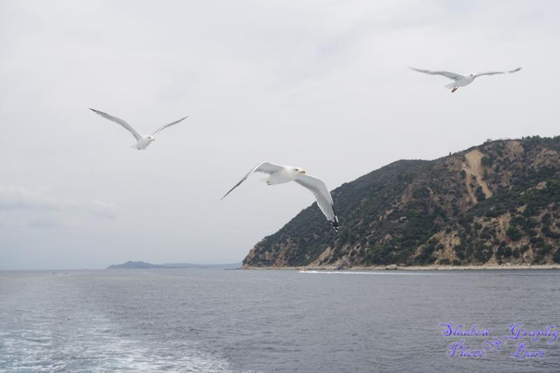 rx100m3 希腊之旅