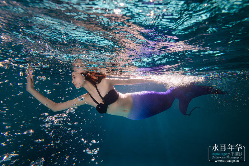 最近美人鱼太热了，大家捧捧场